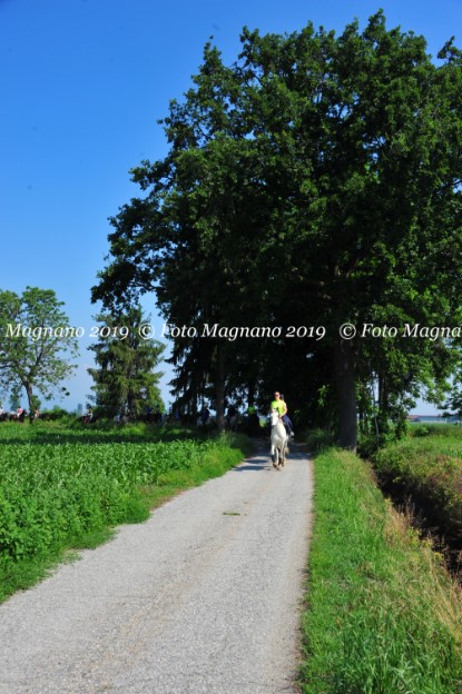 DSC_7504.JPG
